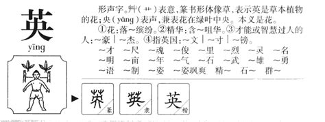 英五行|英的意思